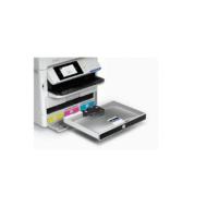 Epson EM-C800 Orjınal Kartuş Seti (Demo Set)