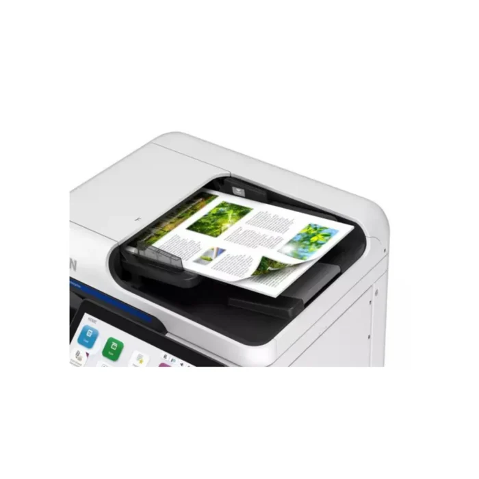 epson am-c550