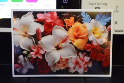 Vivid Mürekkep Baskıları